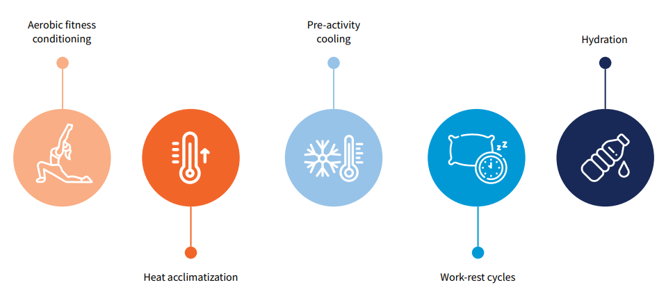Important heat adaptation strategies for reducing the risk of workplace heat stress.