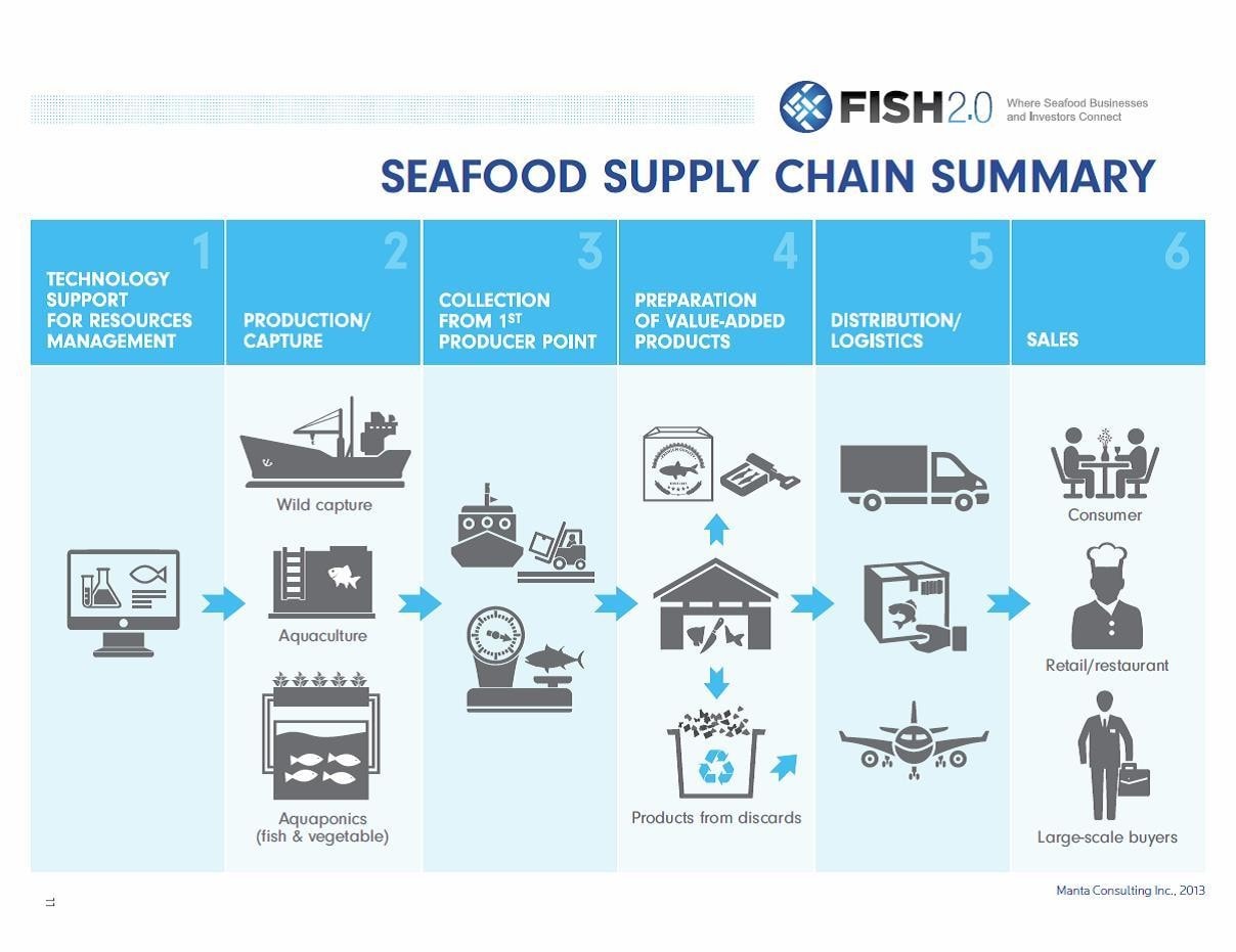 The seafood supply chain