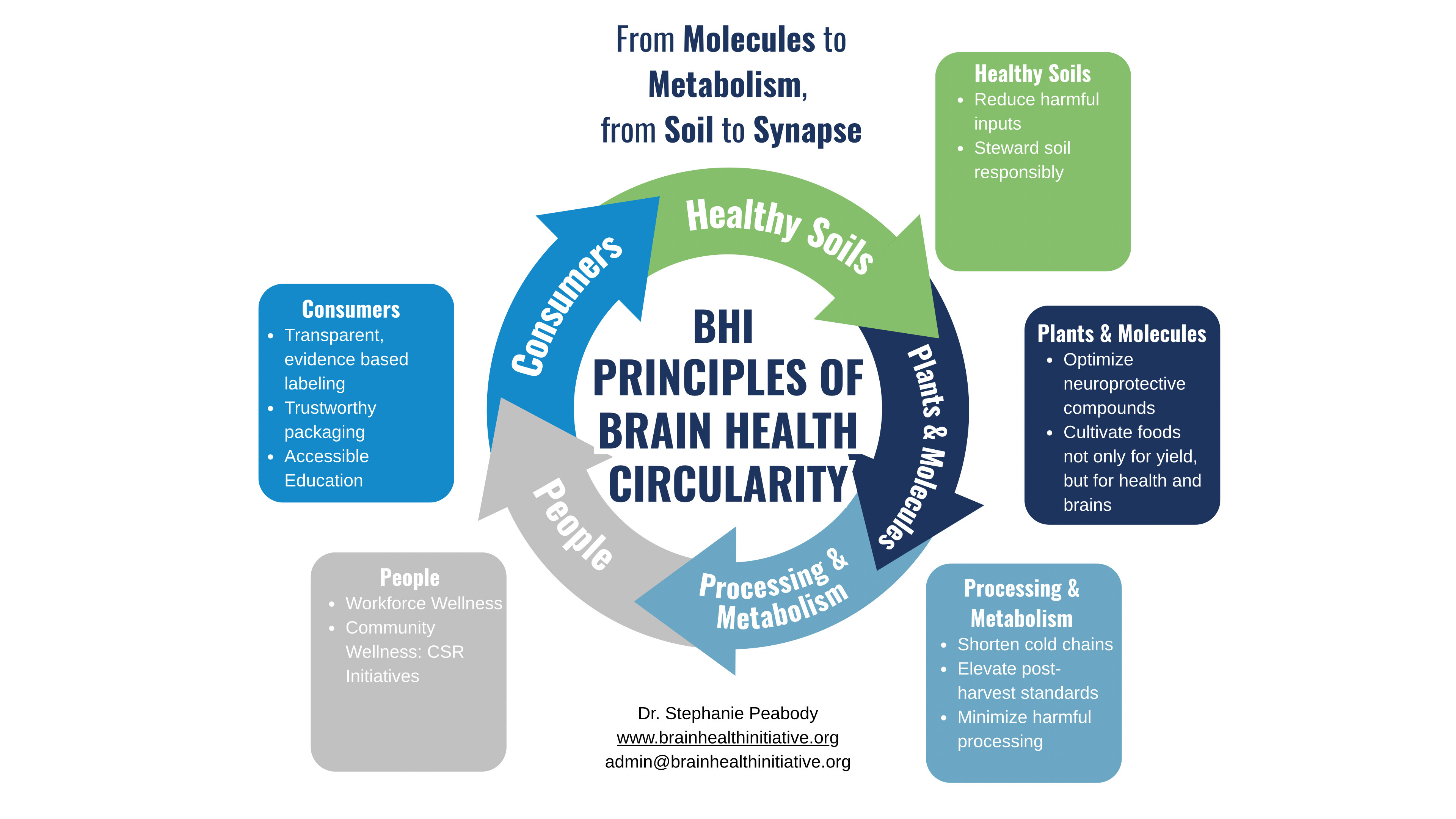 Principles of circularity in regards to improving brain health through food systems.