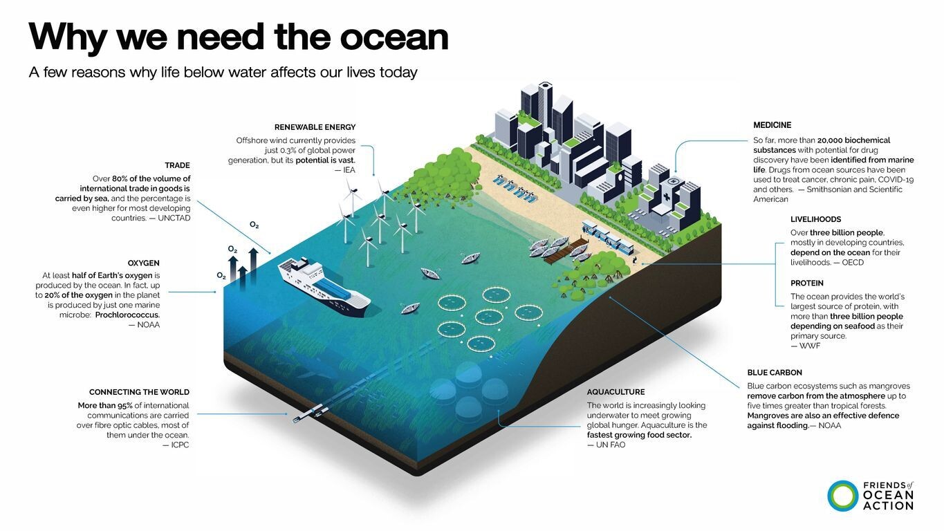 Infographic showing the reasons of why we need the ocean.