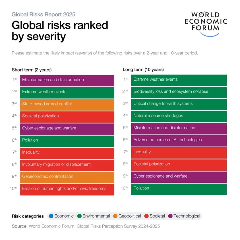 Global Risks Report 2025