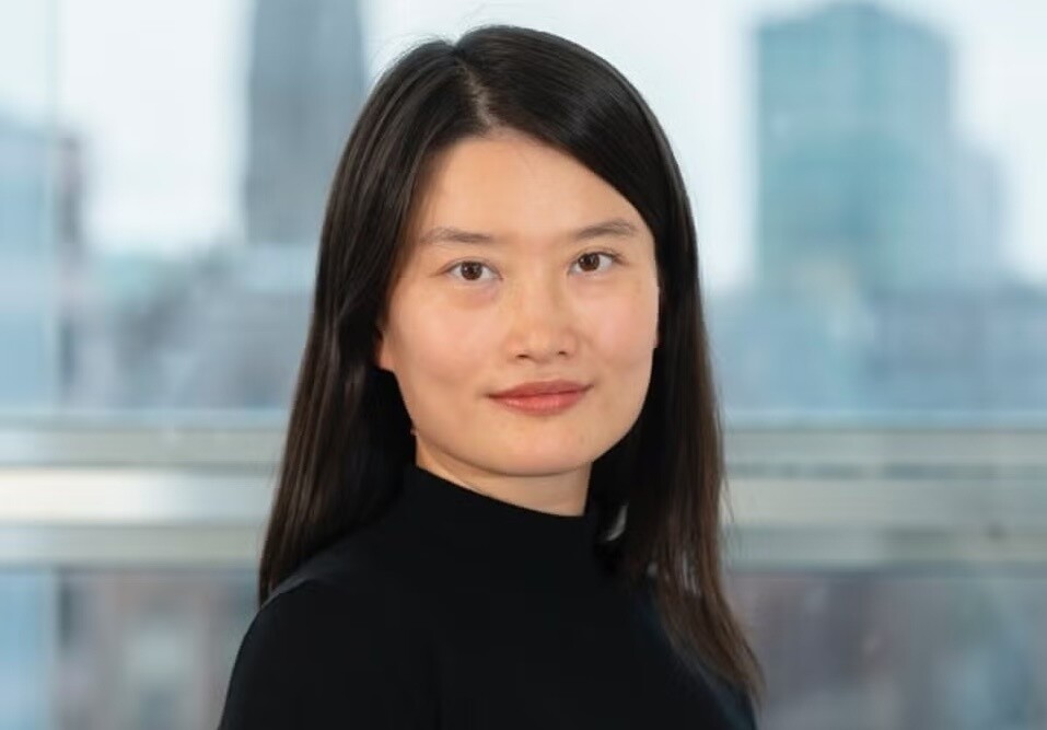 Zhang Chao, Chairman, Mingyang Smart Energy