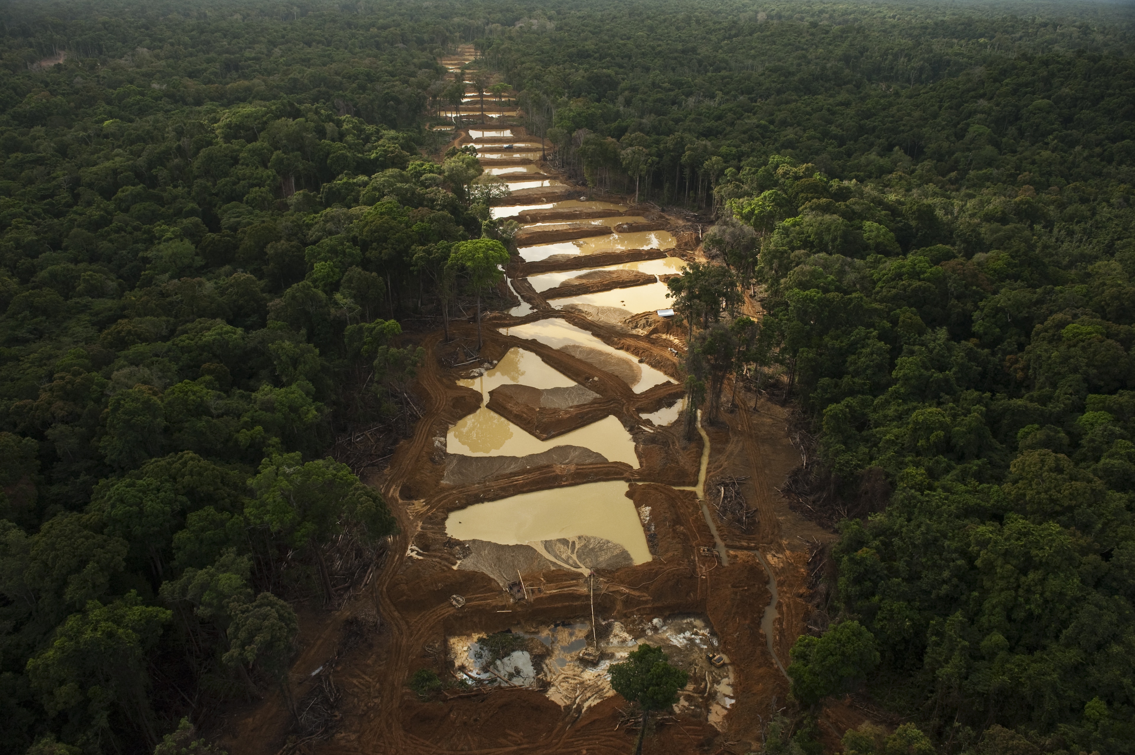 Alluvial Gold Mining in the rainforest.