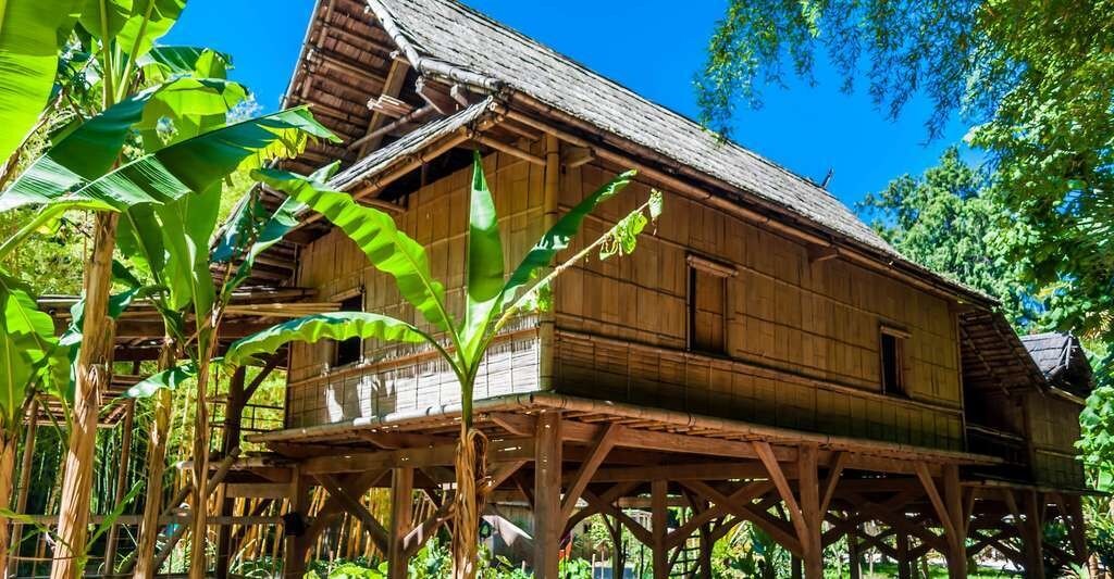 Les matériaux naturels modifiés devraient constituer un élément essentiel à un avenir durable. Mais les chercheurs doivent au préalable comprendre en détail leurs propriétés.