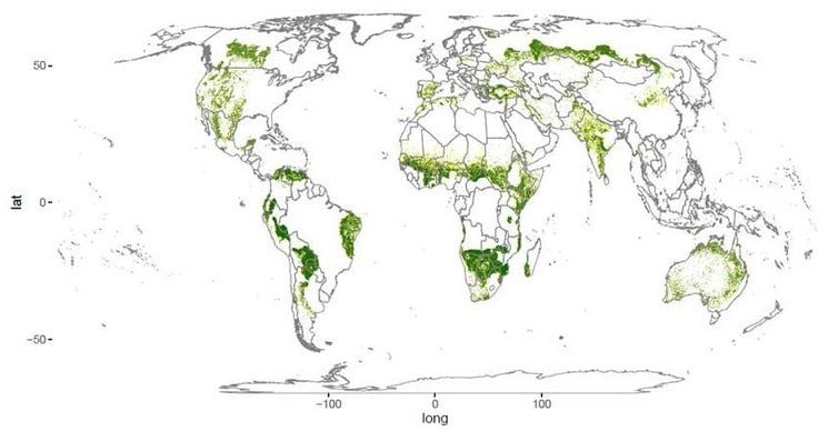 It turns out we have more forests than we thought. A lot more | World ...