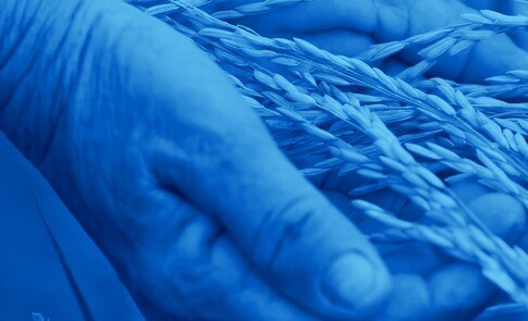 Medium vvier7banfqayesk39q ymn deikagpfi8ncdo2au y