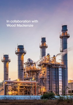 Wood Mackenzie World Economic Forum