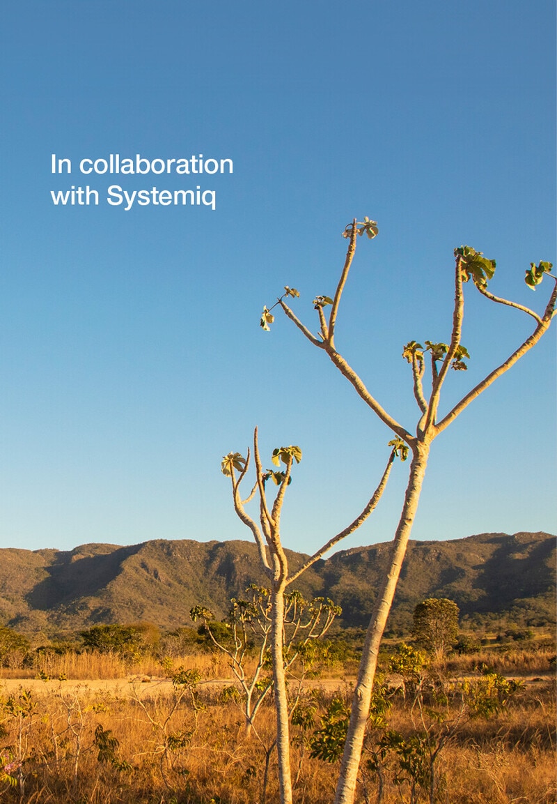 The Cerrado is the most biodiverse savanna in the world. | World ...