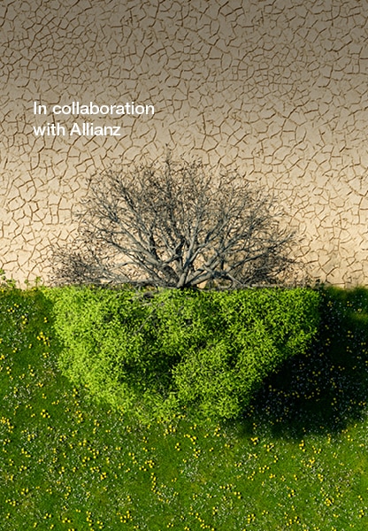 How should we define scarcity? | World Economic Forum