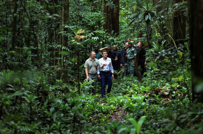 Insights Financing For Nature