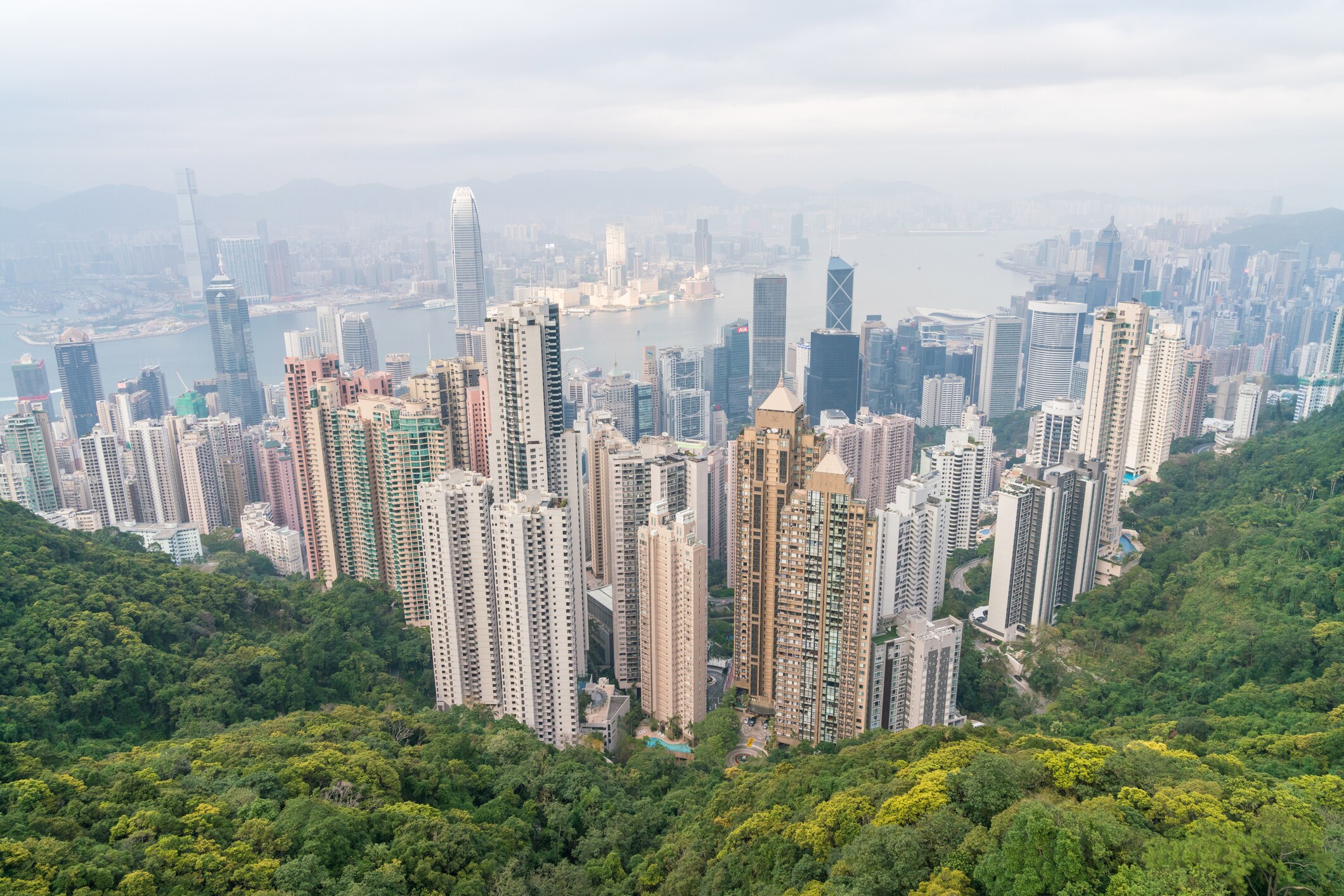 Financial Institutions Financing For Nature