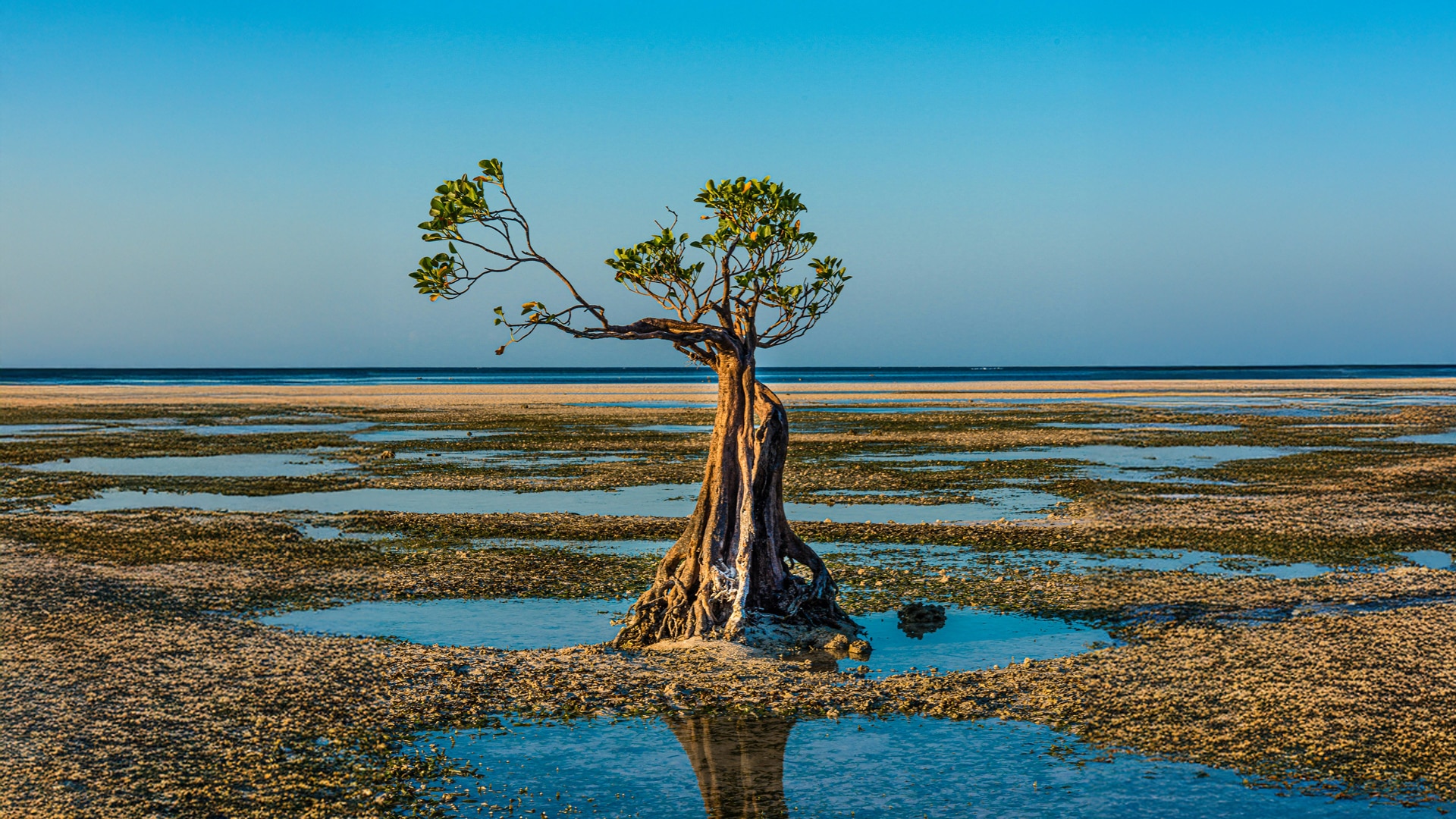 Insights Financing For Nature