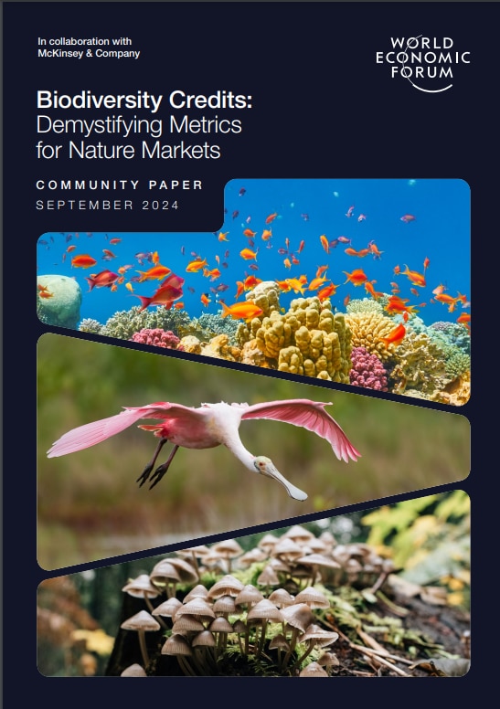 Insights Financing For Nature