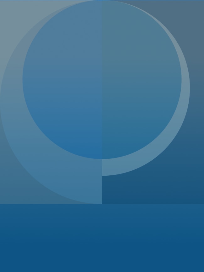 THE FUTURE OF JOBS REPORT 2020 PORTUGU S PDF visual data 2