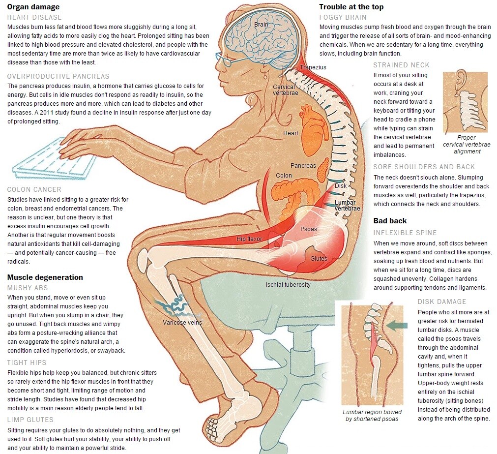 141120-Thu-damage caused by sitting washington post infographic
