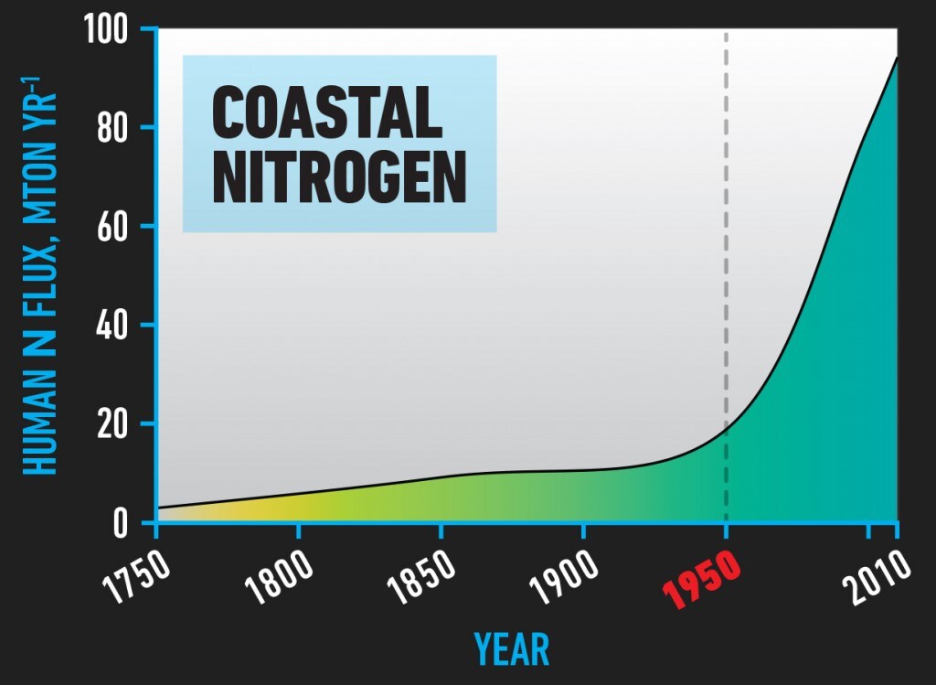 BIO_Coastal_Nitrogen