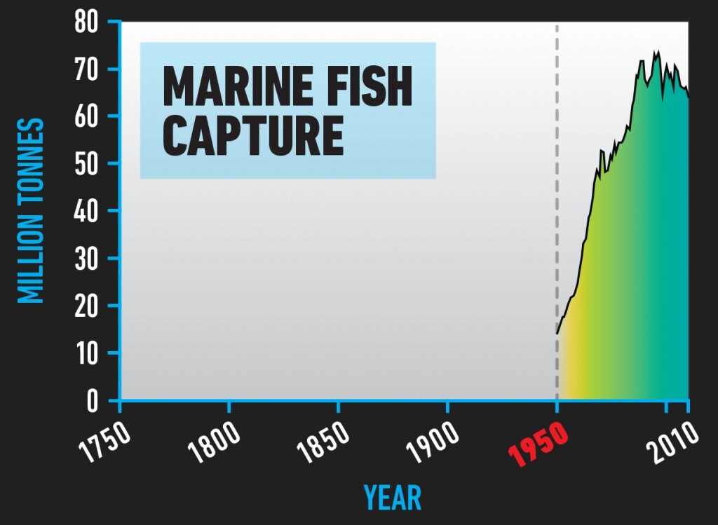BIO_Marine_Fish_Capture