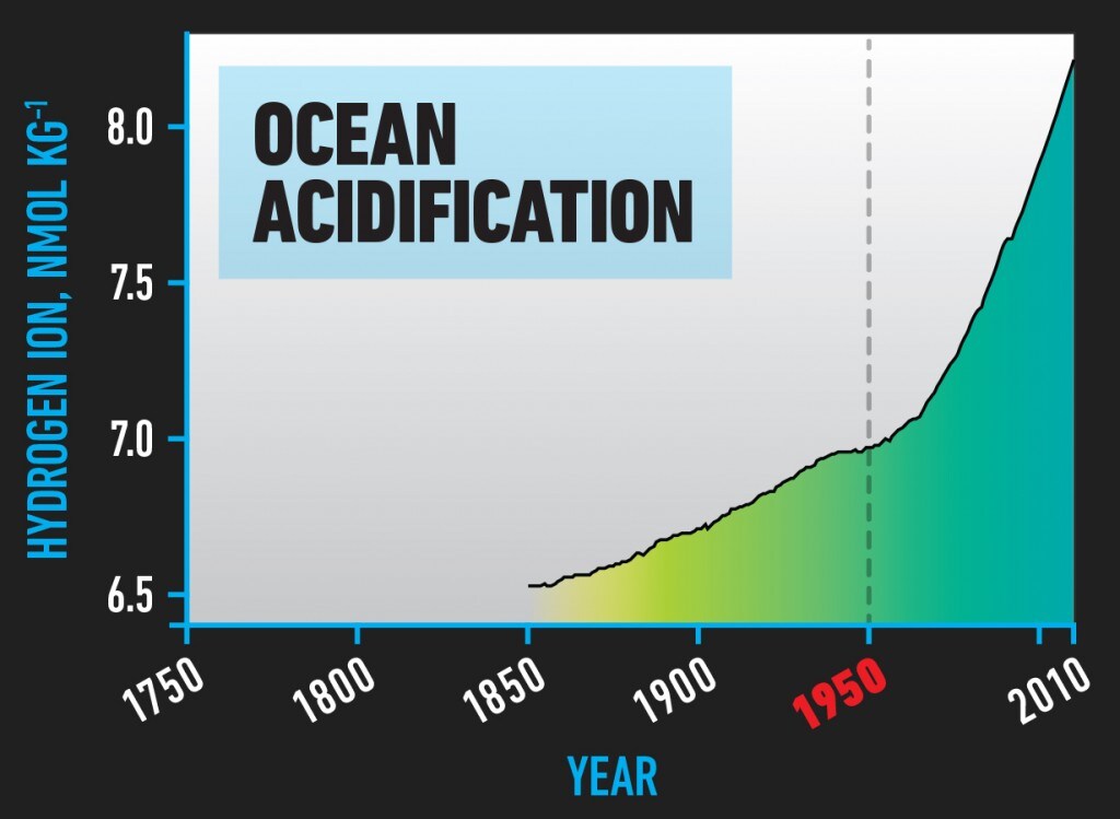 BIO_Ocean_Acidification