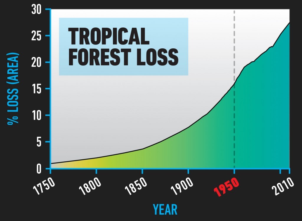 BIO_Tropical_Forest_Loss