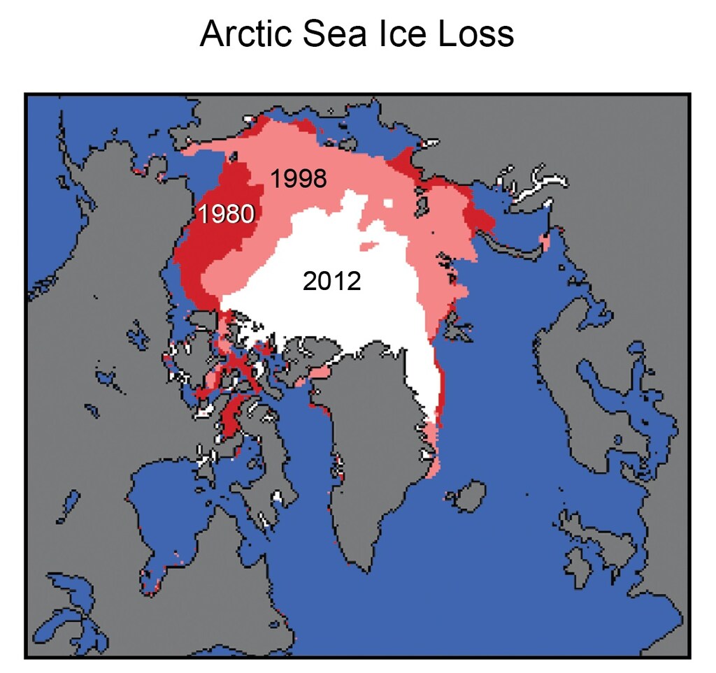 Arctic summer sea ice