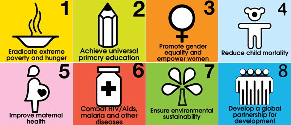 mdg8