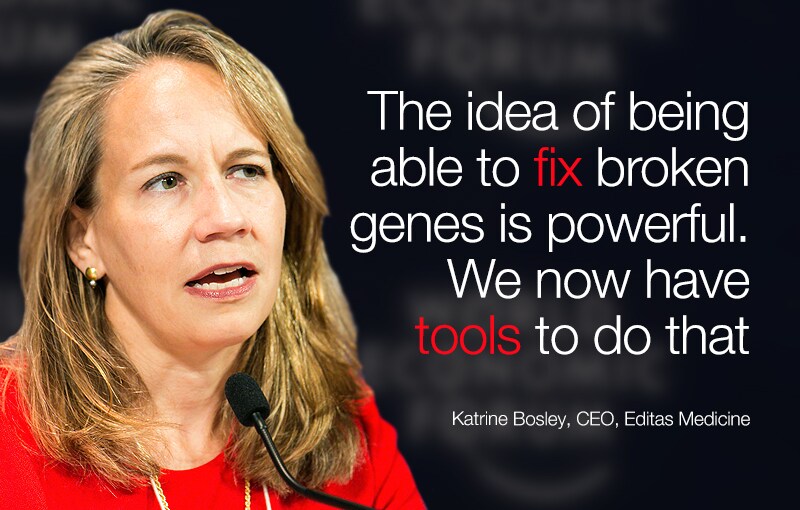 AMNC15_ Katrine Bosley