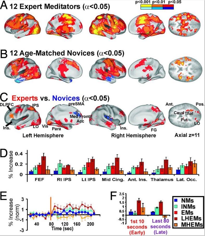 151103-瞑想における専門家と初心者、脳、リーダーシップ PNAS