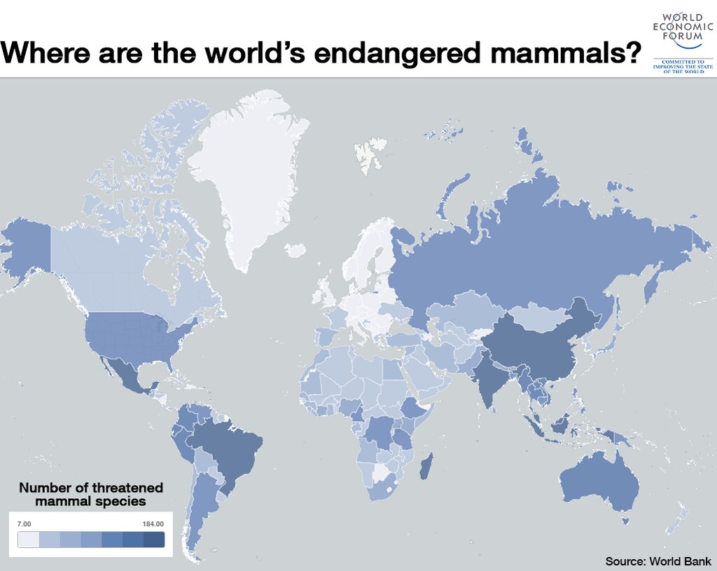 1511B65-countries most endangered animals world map