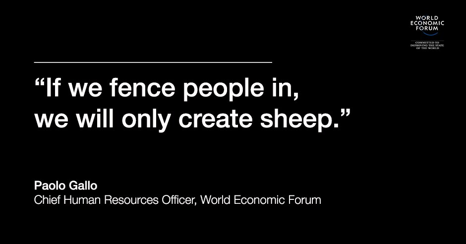 PaoloGallo_sheep (1)