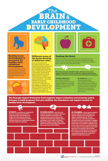 Cognitive outlet brain development