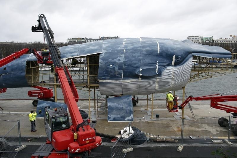 Workers construct a giant whale sculpture along the side of the river Seine, ahead of the World Climate Change Conference 2015 (COP21), in Paris, France, November 29, 2015. REUTERS/Benoit Tessier - RTX1WCSI