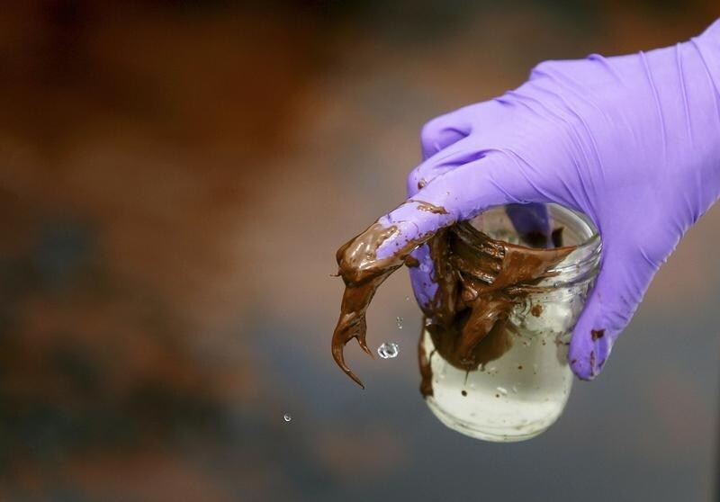 EDF (Environmental Defense Fund) coastal scientist Angelina Freeman takes a sample of oil while surveying the conditions of Bartaria Bay near Venice, Louisiana