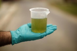 Aqualia's All-gas project researcher Morad shows a container with a water sample collected from a tank to see it under a microscope at a waste-water treatment plant in Chiclana de la Frontera